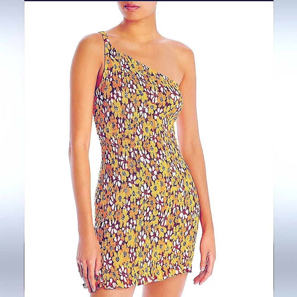 Faithfull the Brand Spring-Fall-Shirred Mini Dress Sz 10 NWT